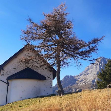 Campo Base Dolomiti Con Parcheggio Auto E Garage Moto Villa Valle di Cadore Eksteriør billede