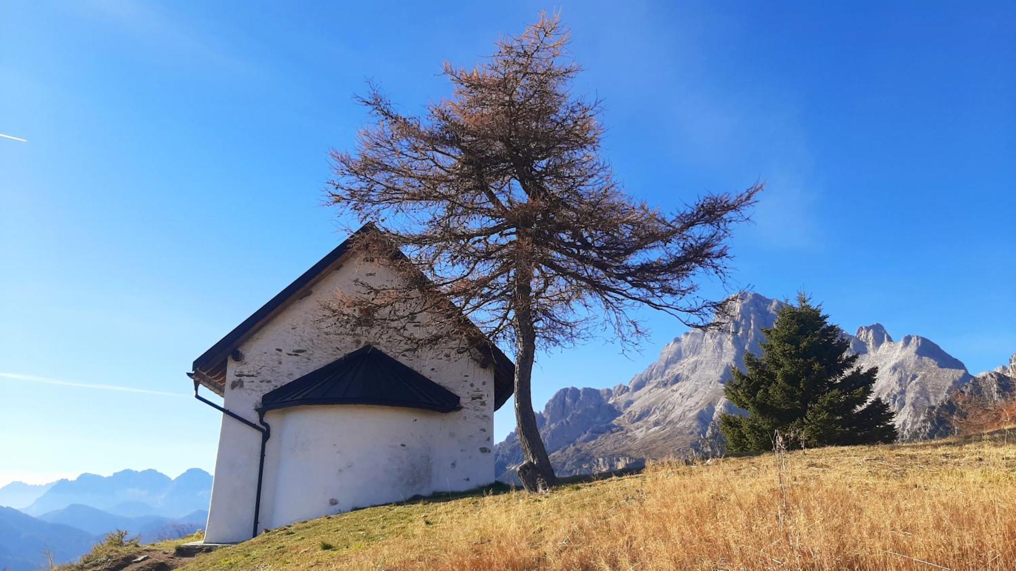 Campo Base Dolomiti Con Parcheggio Auto E Garage Moto Villa Valle di Cadore Eksteriør billede