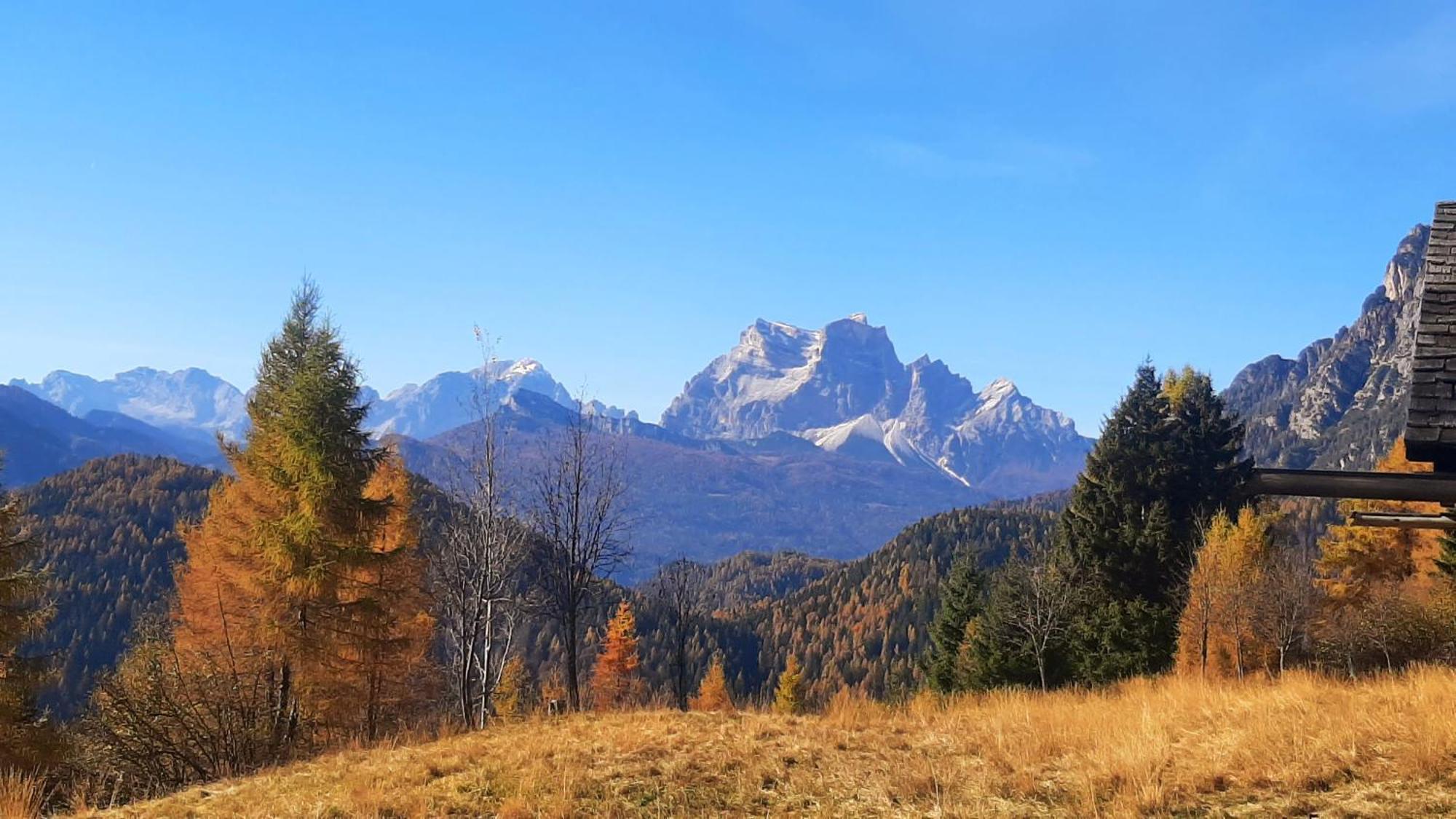 Campo Base Dolomiti Con Parcheggio Auto E Garage Moto Villa Valle di Cadore Eksteriør billede