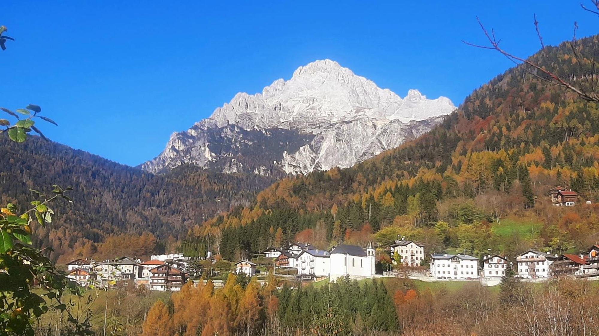 Campo Base Dolomiti Con Parcheggio Auto E Garage Moto Villa Valle di Cadore Eksteriør billede